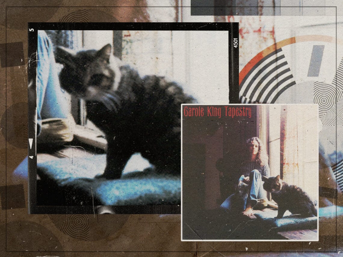 The Cover Uncovered- The tale of Telemachus, the cat photographed for the Carole King album 'Tapestry' - 1971 - 2023