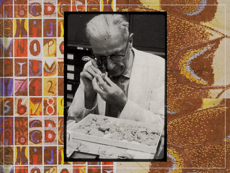 Kjell Bloch Sandved - The Butterfly Alphabet - Art - Science
