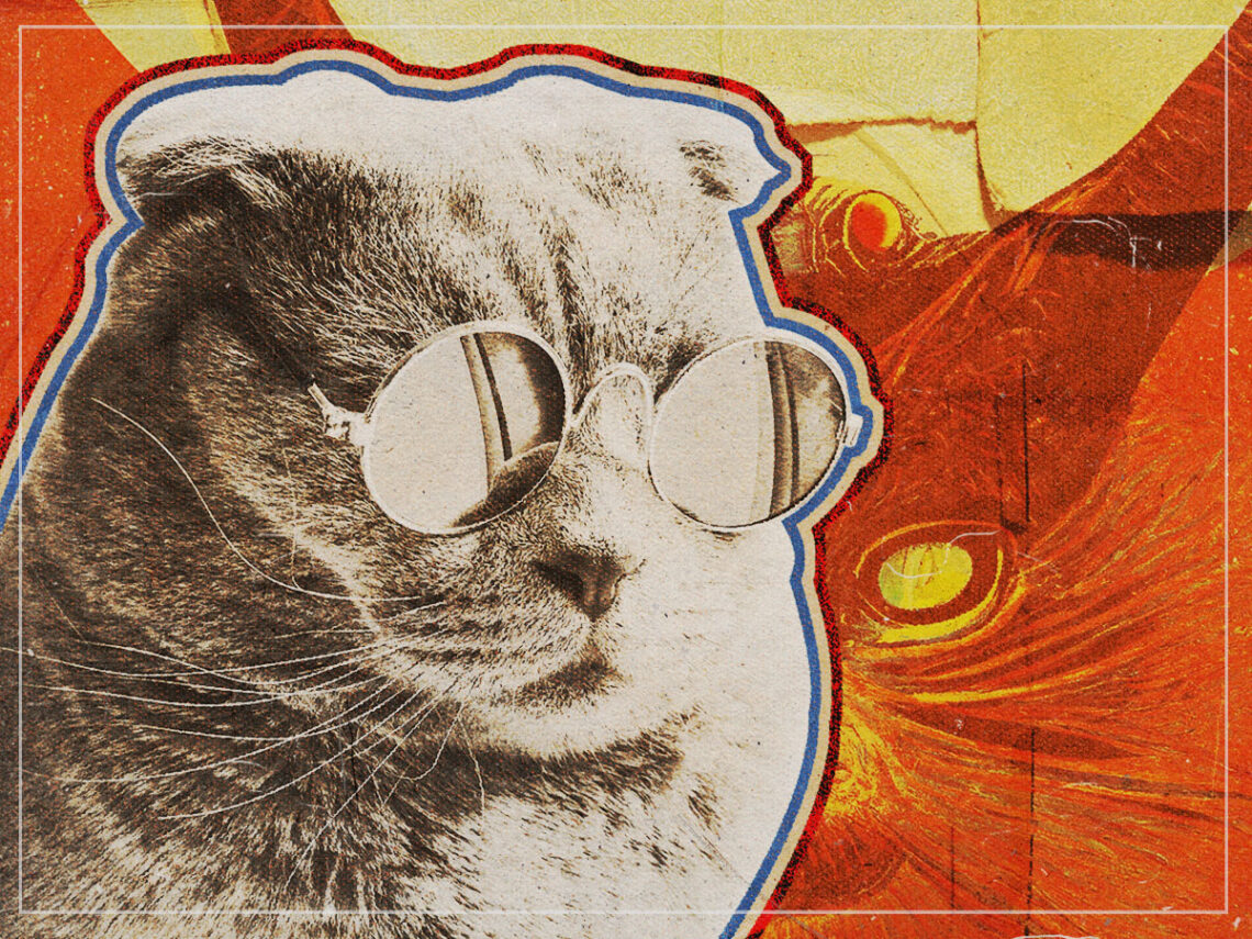 The song written from the perspective of a cat - 2023