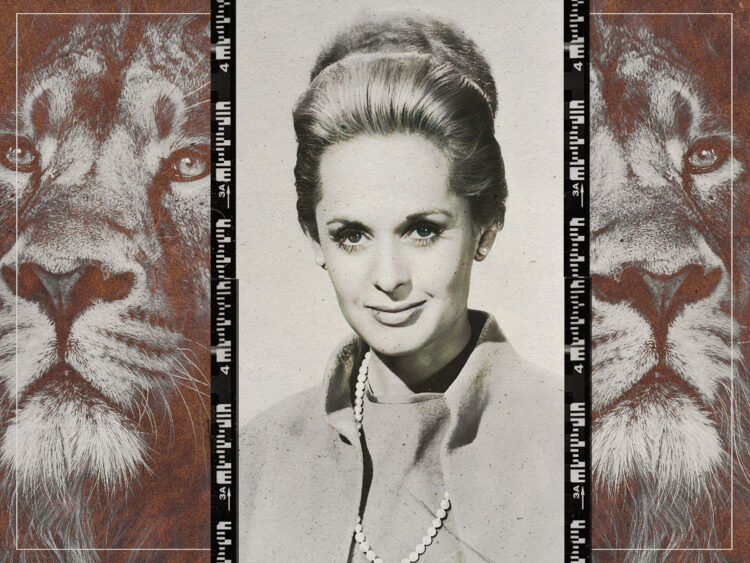 Forget the Tiger King... Tippi Hedren was the Lion Queen of Hollywood