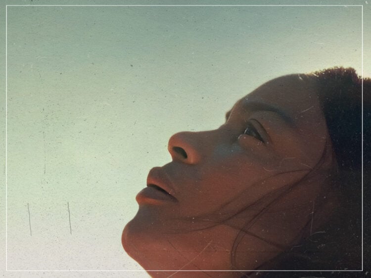 Origin - Ava DuVernay - 2024