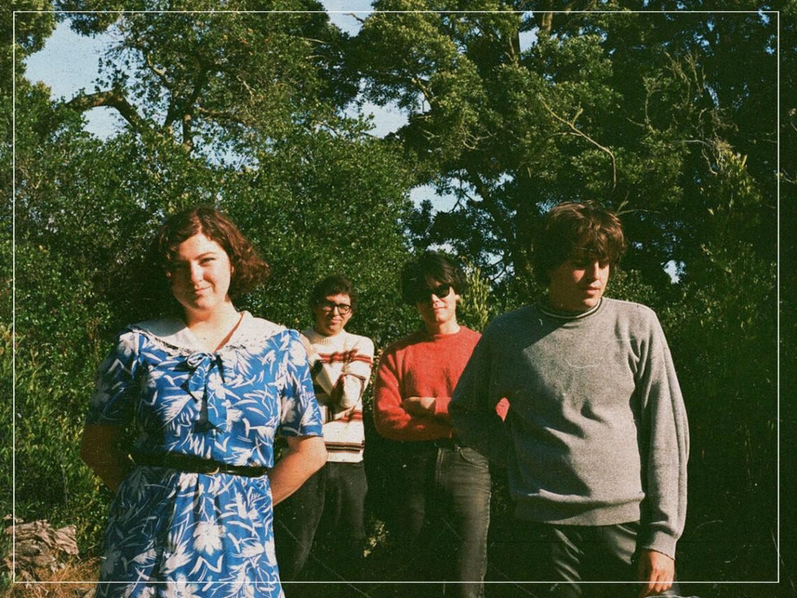The Umbrellas - 2024