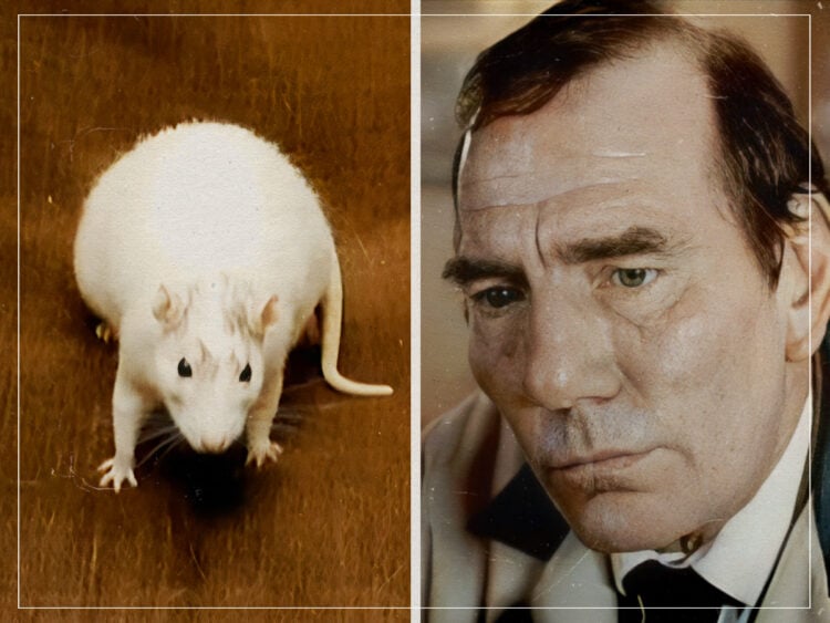 Rat - 2000 - Pete Postlethwaite