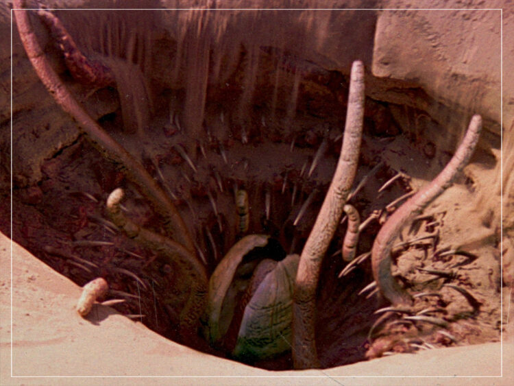 Sarlacc Pit - Star Wars