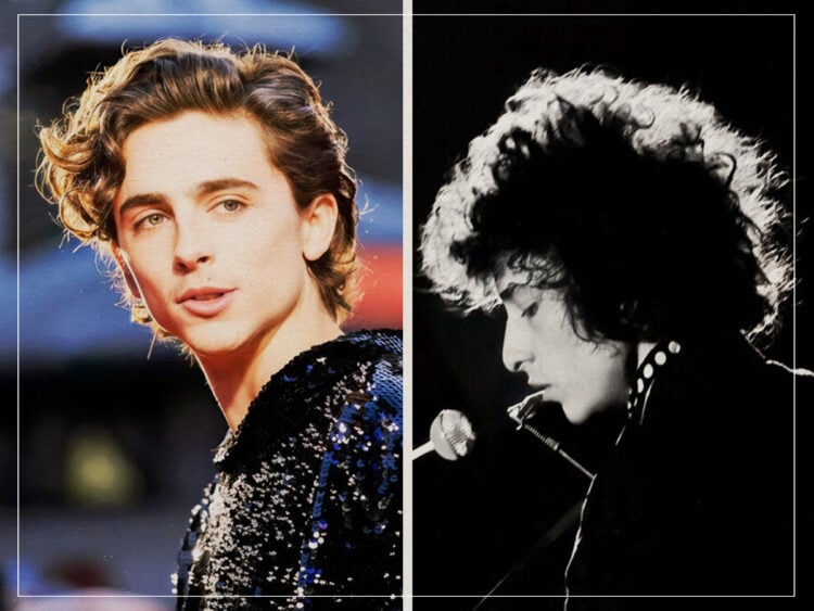 Timothée Chalamet - Bob Dylan - Split