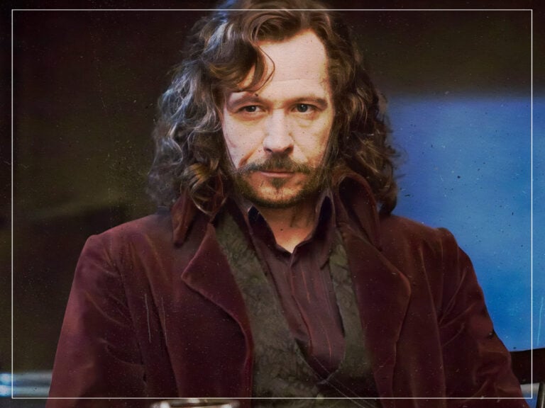 Gary Oldman - Sirius Black - Harry Potter