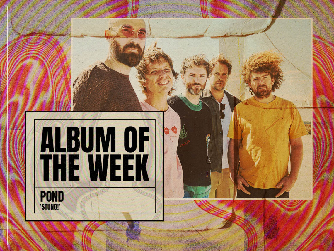 Album of The Week - Pond - Stung - 2024