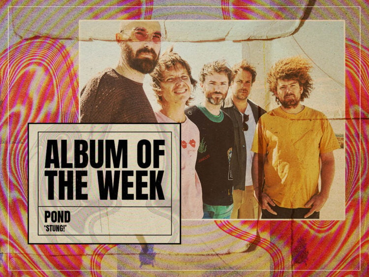 Album of The Week - Pond - Stung - 2024