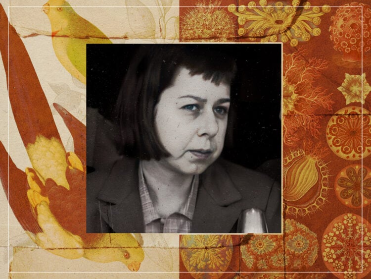 The Ballad of Booze- Carson McCullers' favourite cocktail - 2024