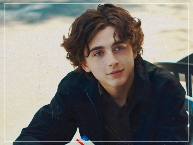 Timothée Chalamet - Ladybird - 2017