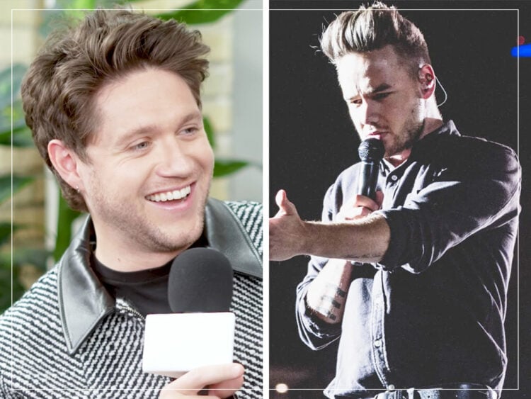 Niall Horan - Liam Payne - Split