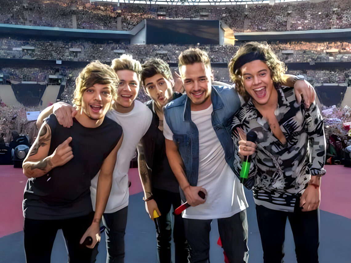 One Direction - 2014 - Liam Payne - Harry Styles - Niall Horan - Zayn - Louis Tomlinson
