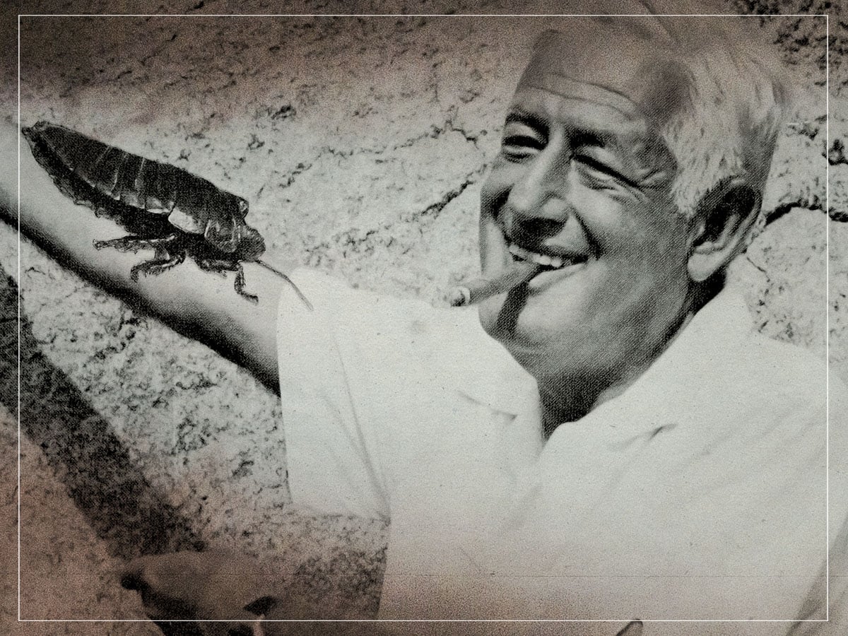 William Castle - Director - Filmmaker - 1976