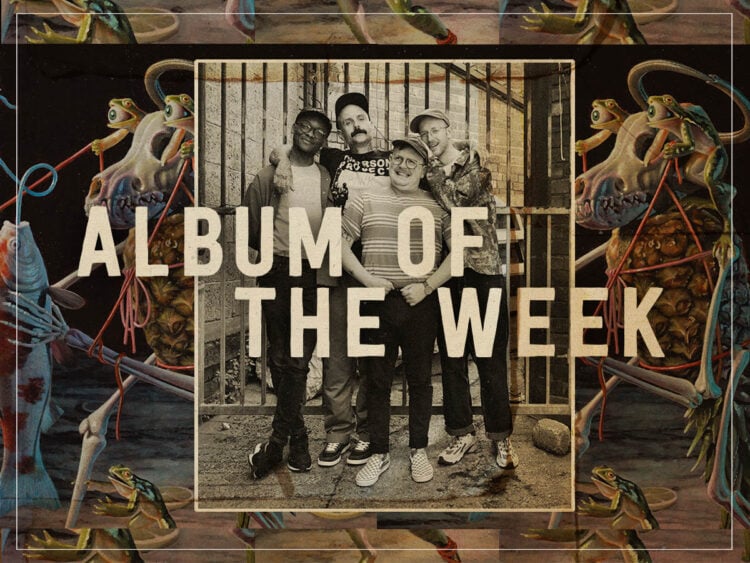 Album of the week - Thank - I Have A Physical Body That Can Be Harmed - 2024