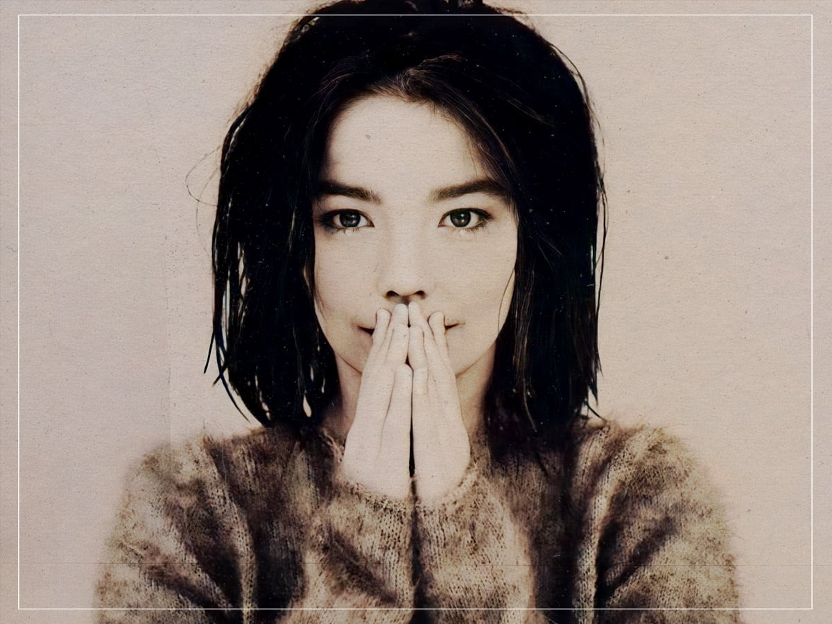 The only musician that Bjork described as 