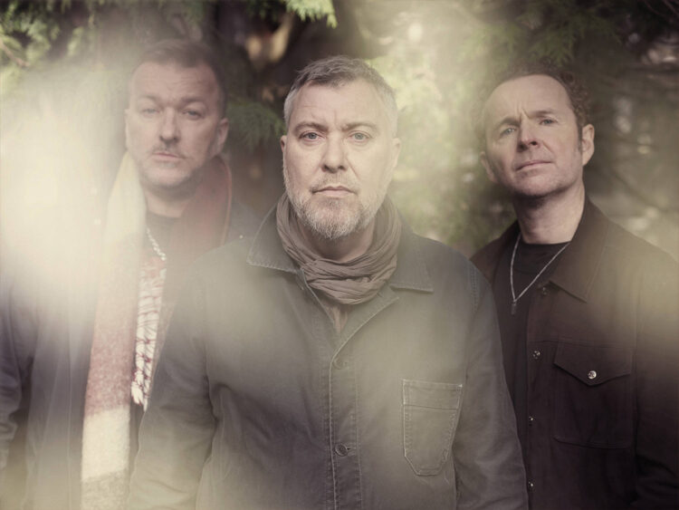 DOVES - 2024 - Brian David Stevens