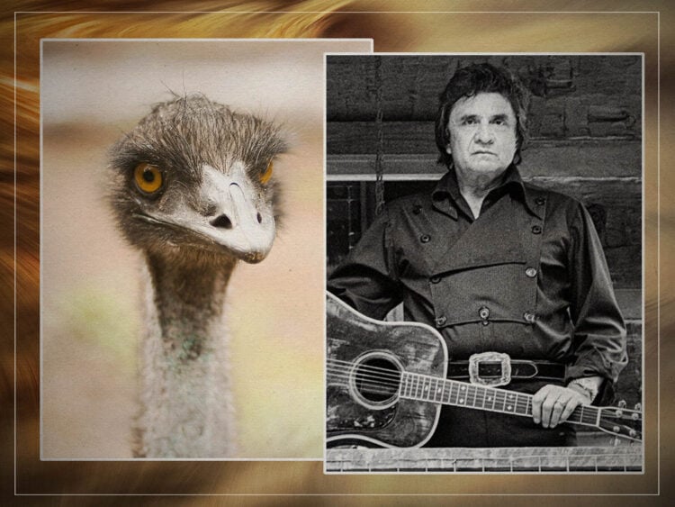 Johnny Cash - Ostrich - Split