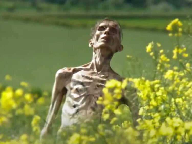 28 Years Later - Infected - Zombie - 2024