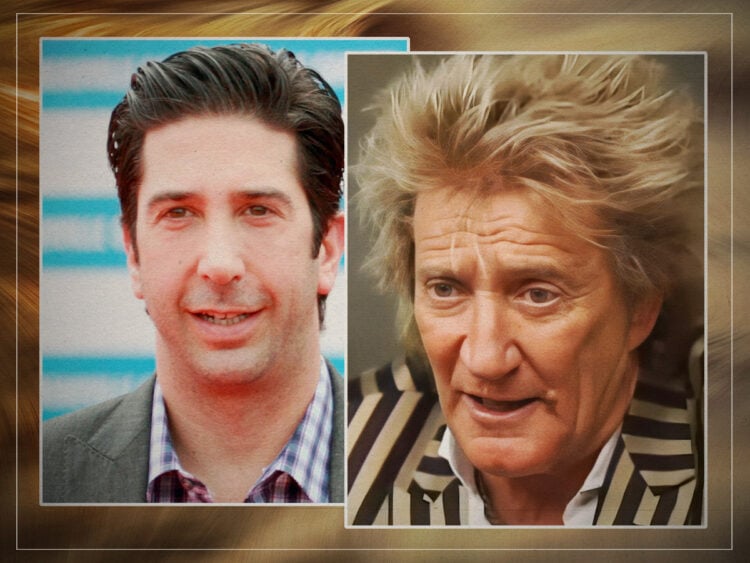 David Schwimmer - Rod Stewart - Split