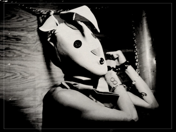 The Bunny Game - 2011 - Adam Rehmeier