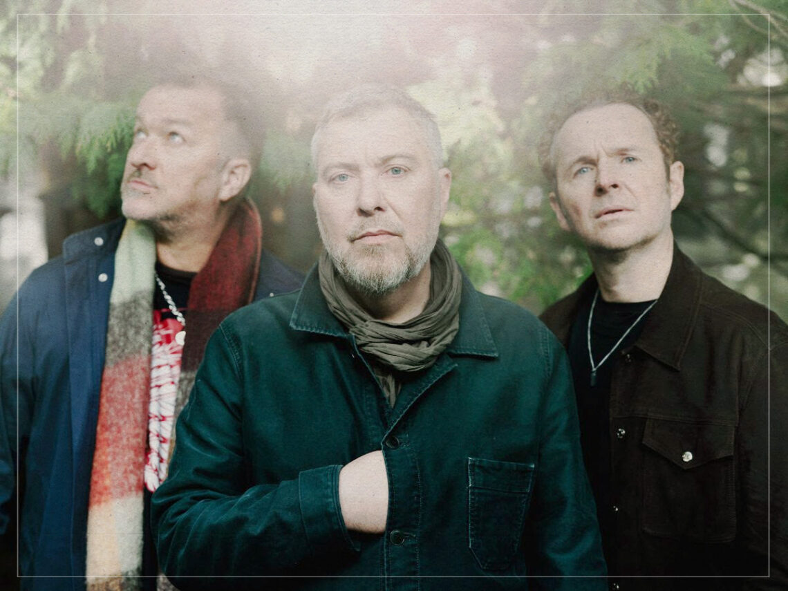 Doves - 2025 - Brian David Stevens