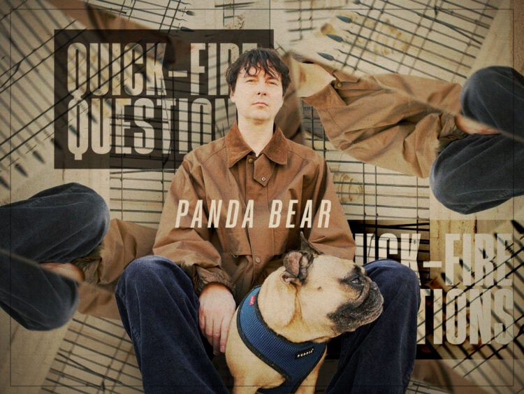 Panda Bear - Quick-Fire Questions - 2025