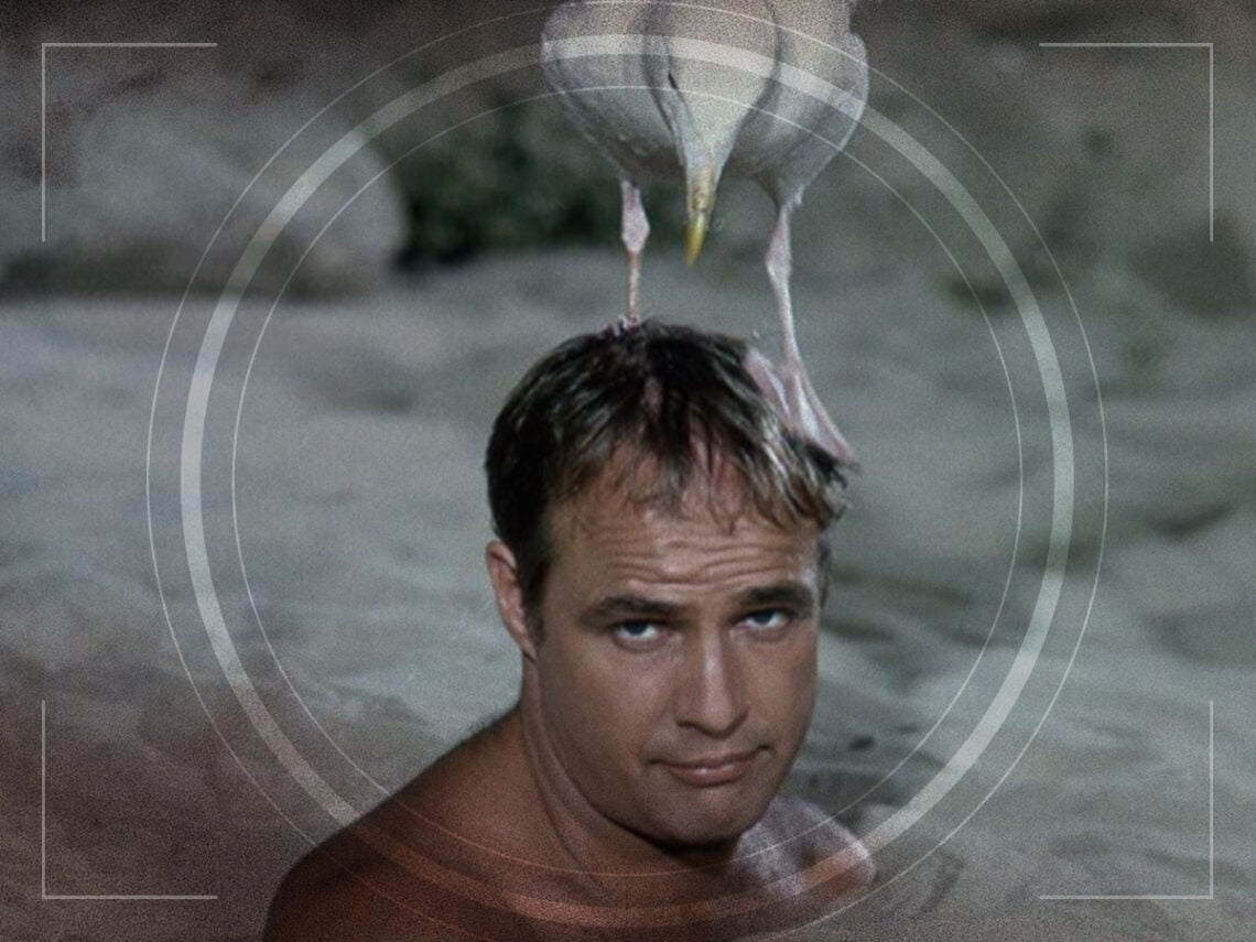 Bedtime Story - Marlon Brando - Ralph Levy - 1964