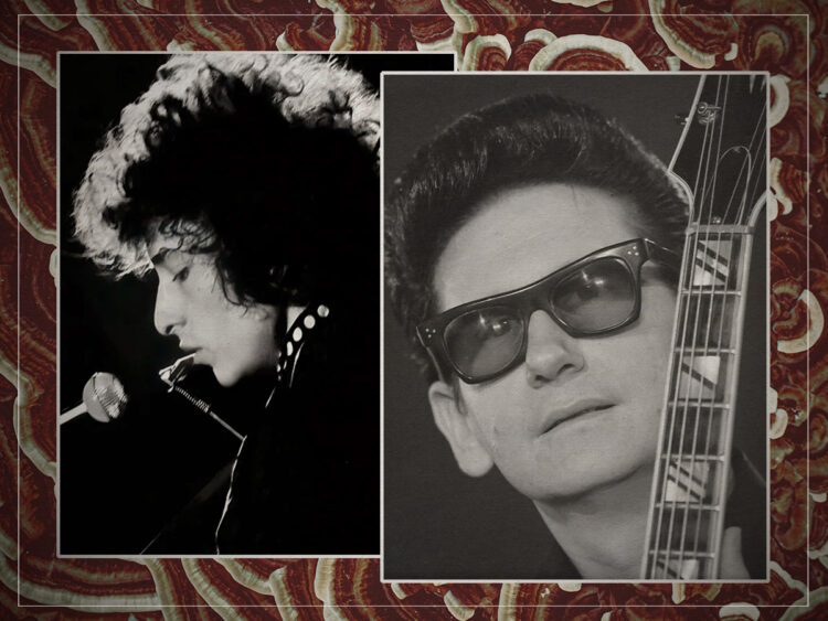 Bob Dylan - Roy Orbison - Split