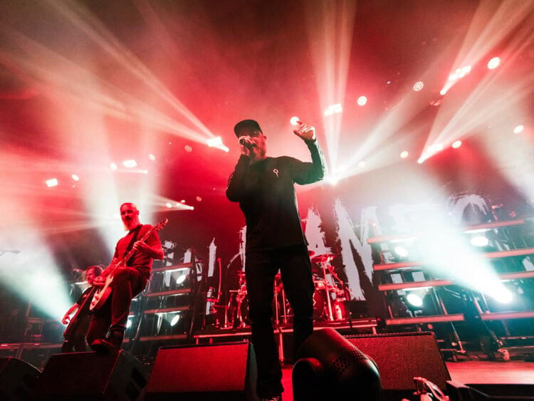 In Flames - 2025 - Andrea Chile