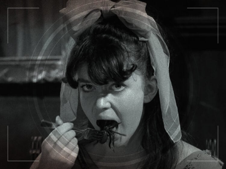 Spider Baby: the hilarious horrors of an underrated cult classic
