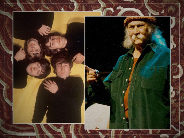 The Beatles - David Crosby - Split