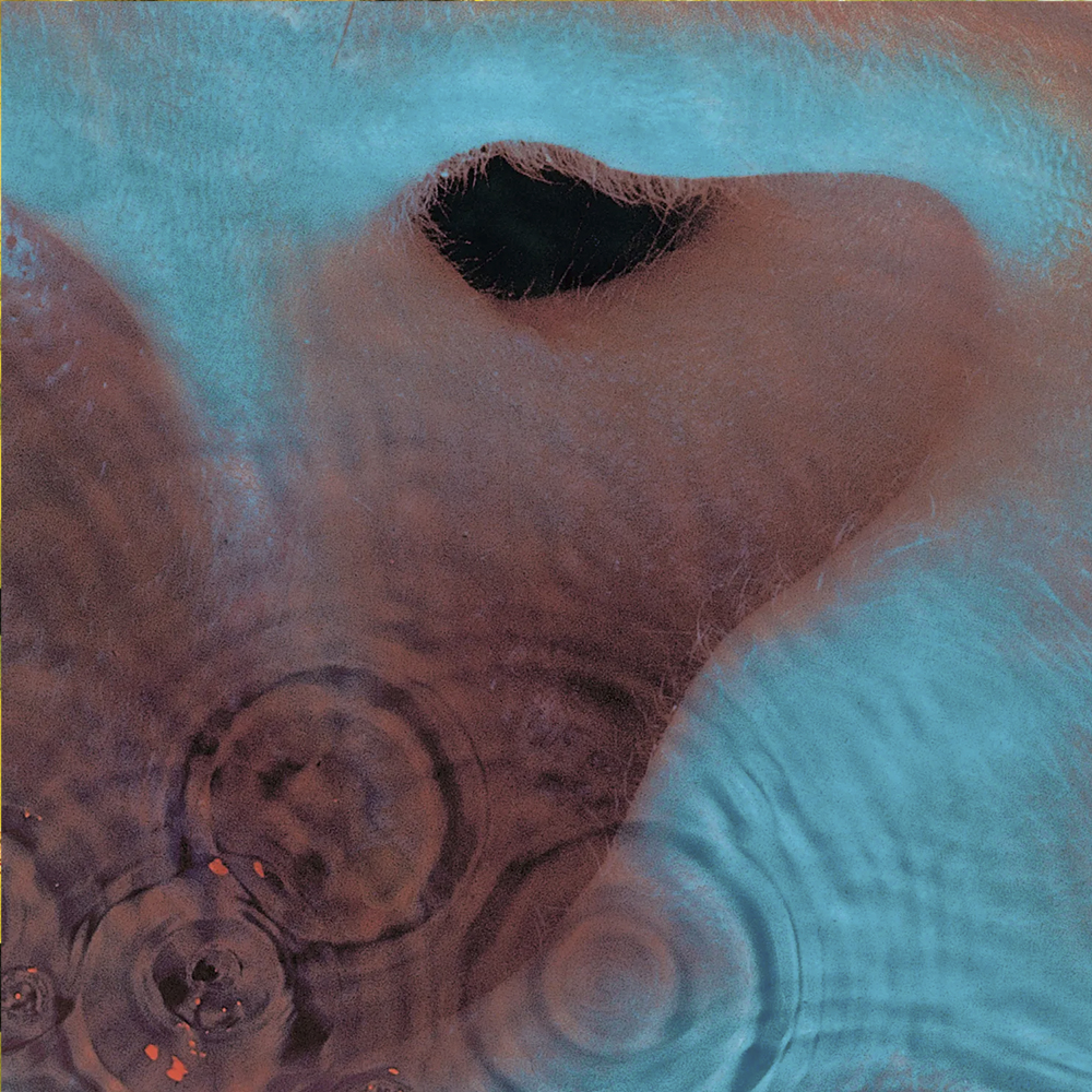 Pink Floyd - Meddle - 1971
