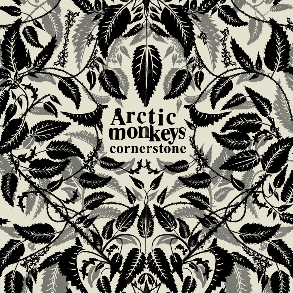 Arctic Monkeys - Cornerstone - 2009