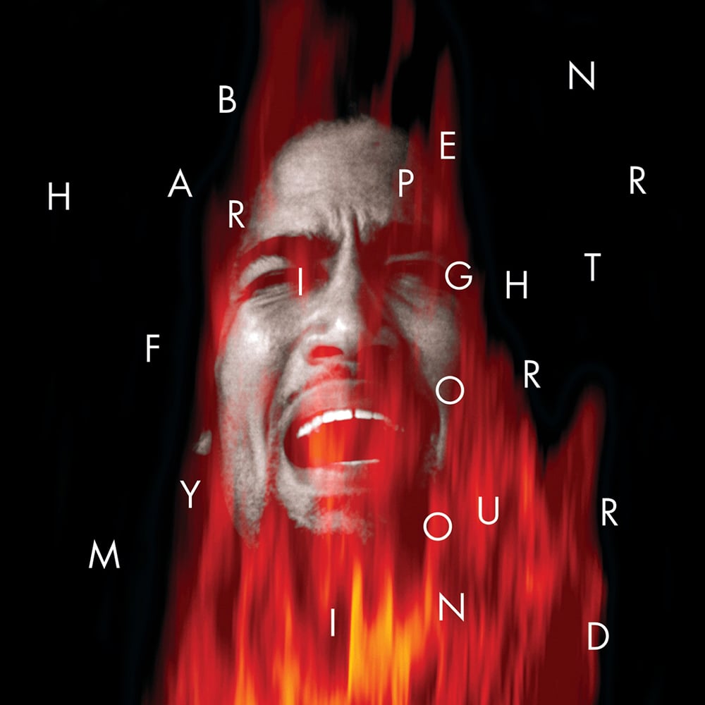Ben Harper - Fight For Your Mind - 1995