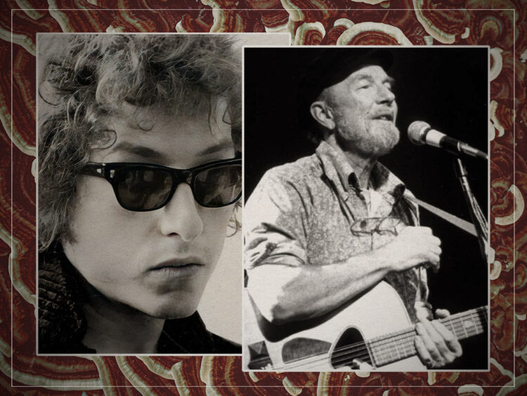 Bob Dylan - Pete Seeger - Split