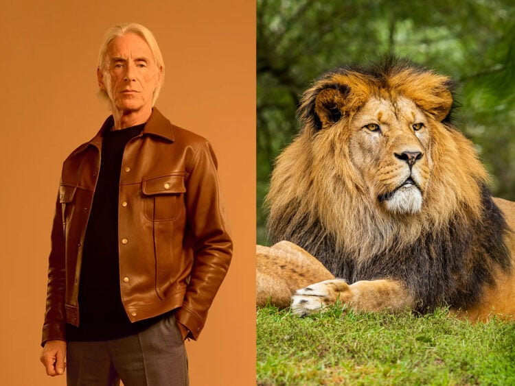 Paul Weller - Lion - Split - 2025