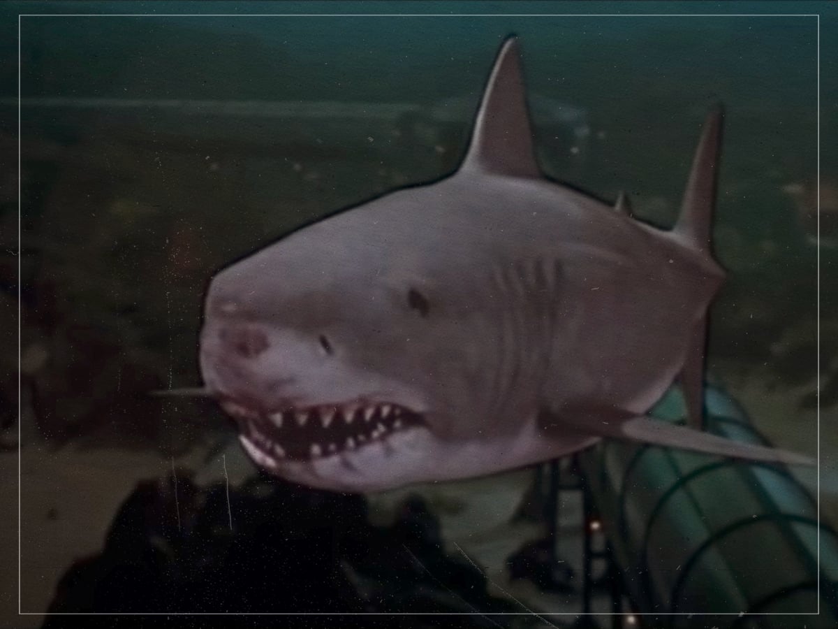 Jaws 3-D - Joe Alves - 1983