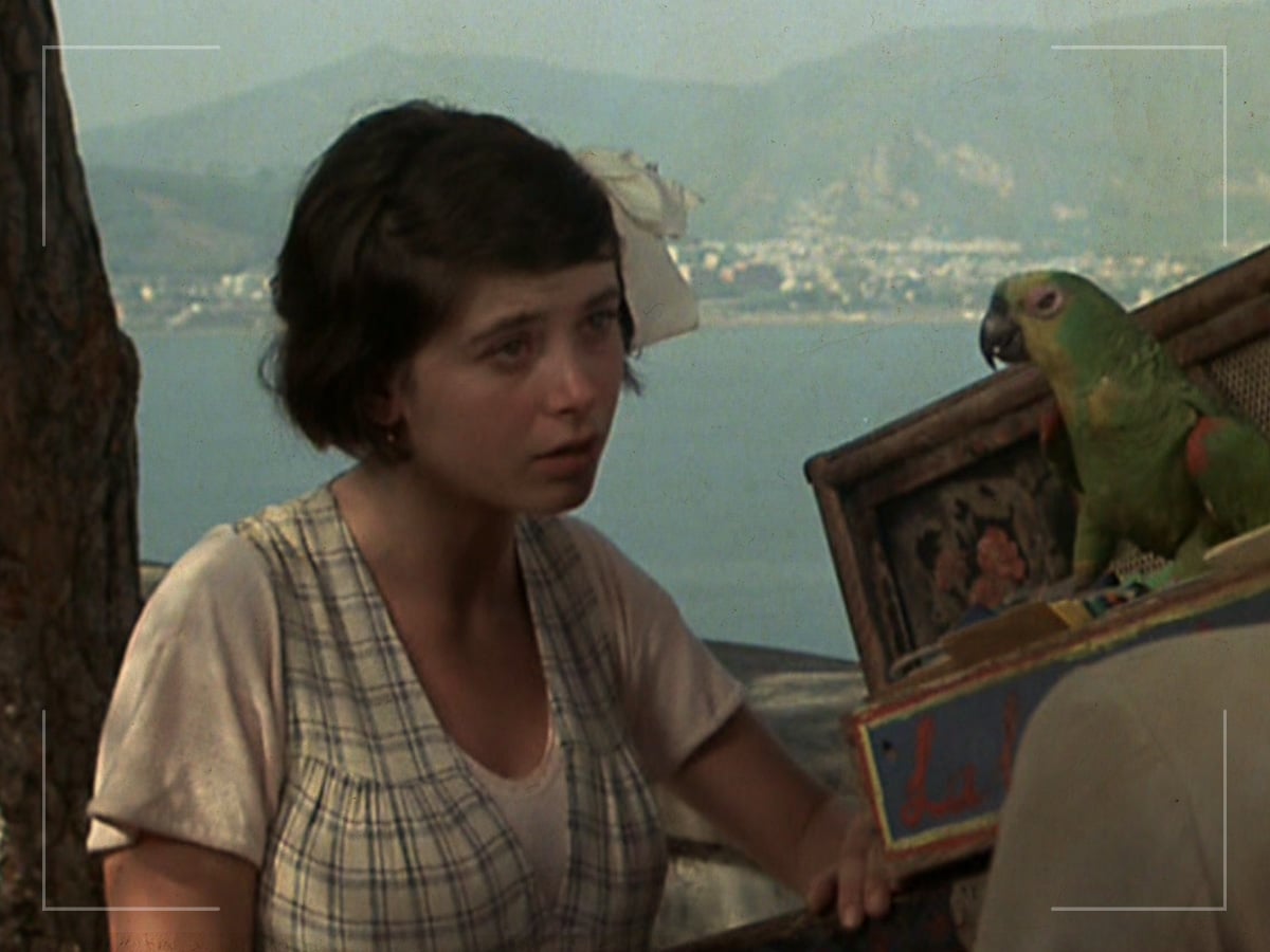 'Pasqualino Settebellezze':'Seven Beauties' (Lina Wertmüller, 1975)