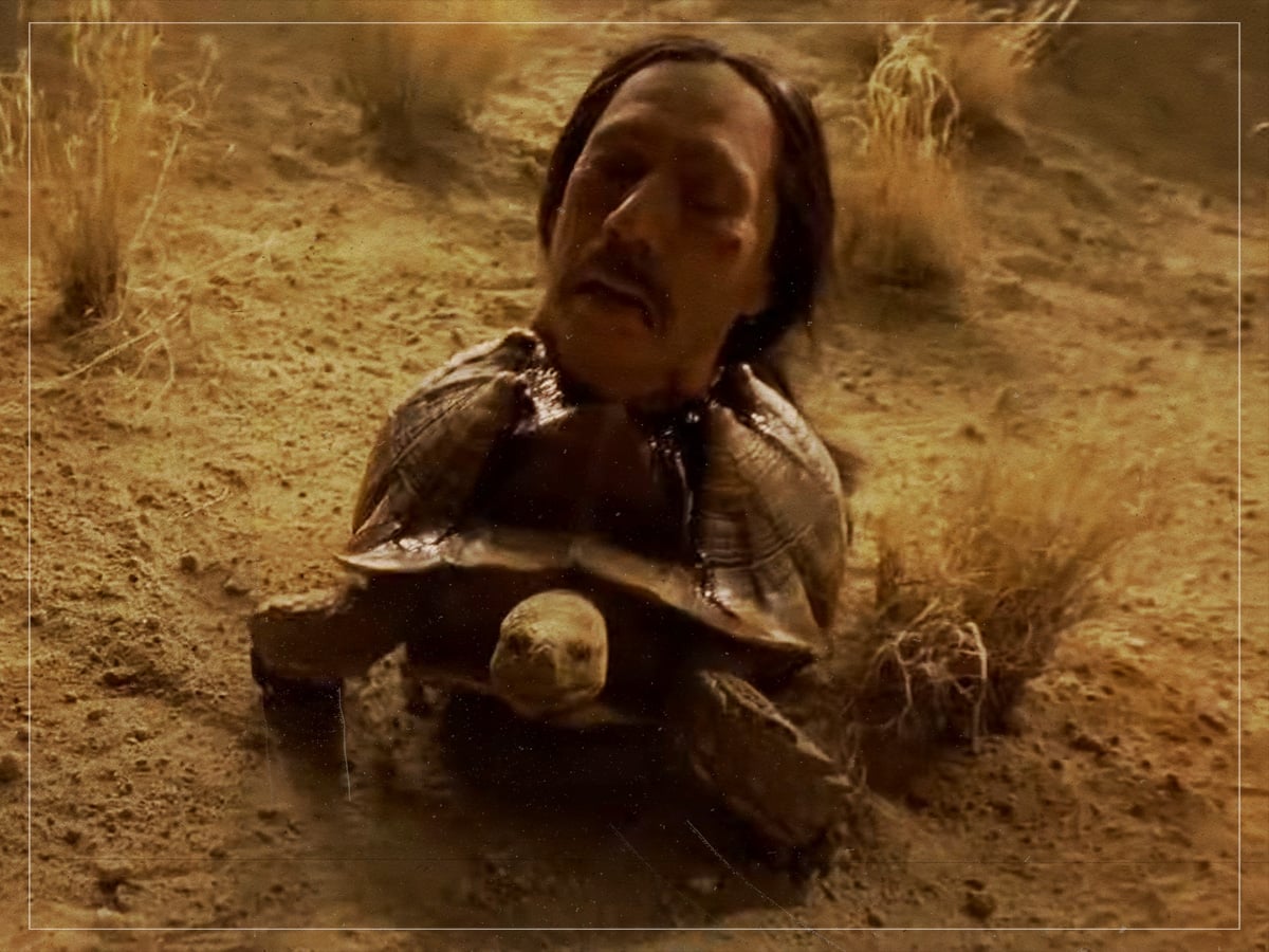 The severed tortoise - Breaking Bad - Vince Gilligan - 2008-2013