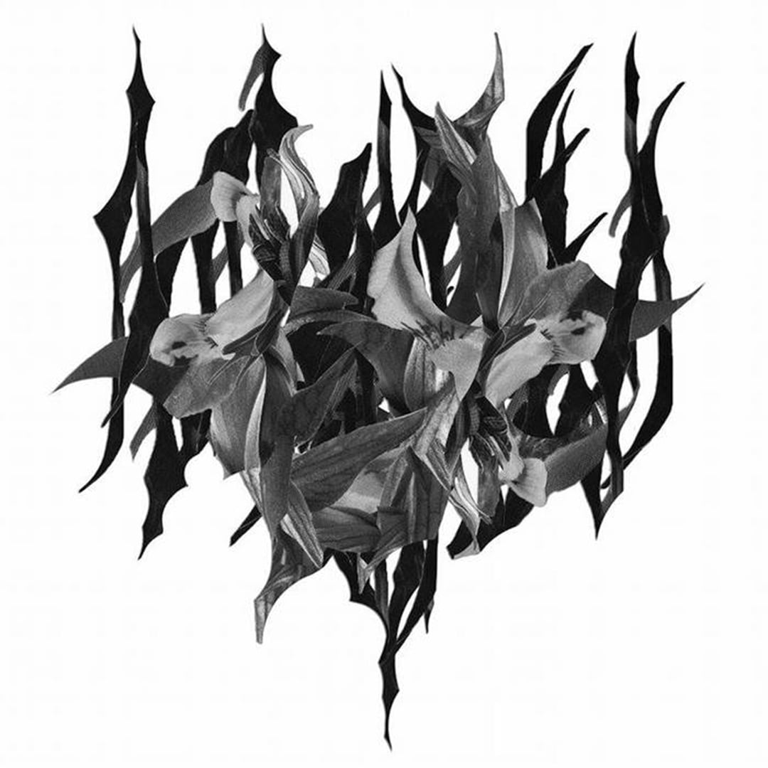 When Man Fails You - Yves Tumor - Album