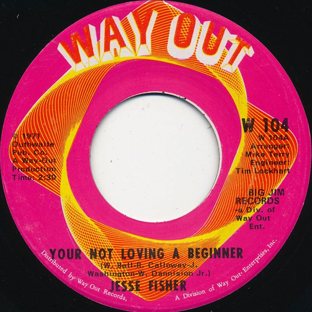 Jesse Fisher - Your Not Loving A Beginner - 1971