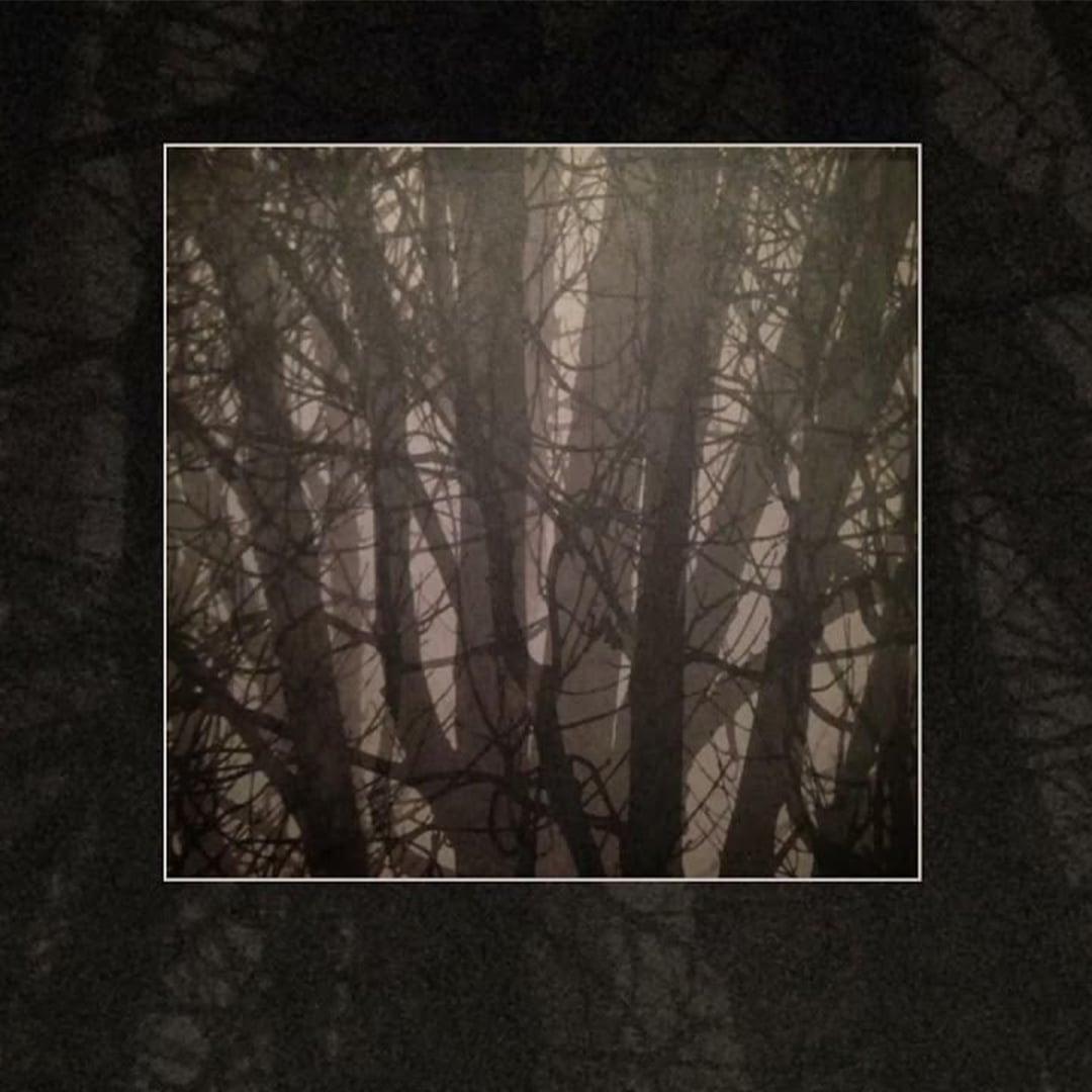 Veritas - Black Dark : Black Cold