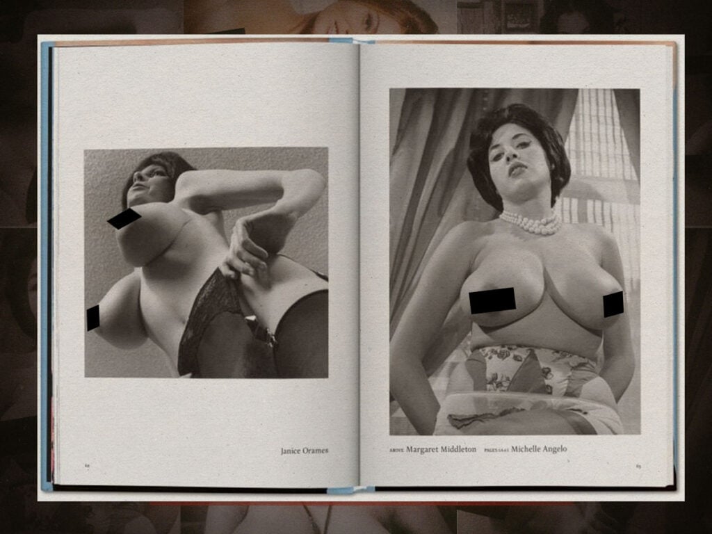 Big Book of Breasts- A pocket guide to the cultural liberation of erotic photography