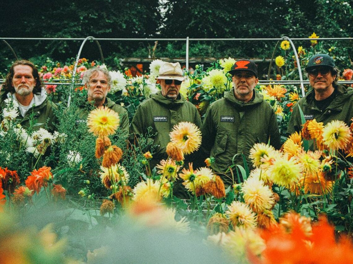 Super Furry Animals - 2025