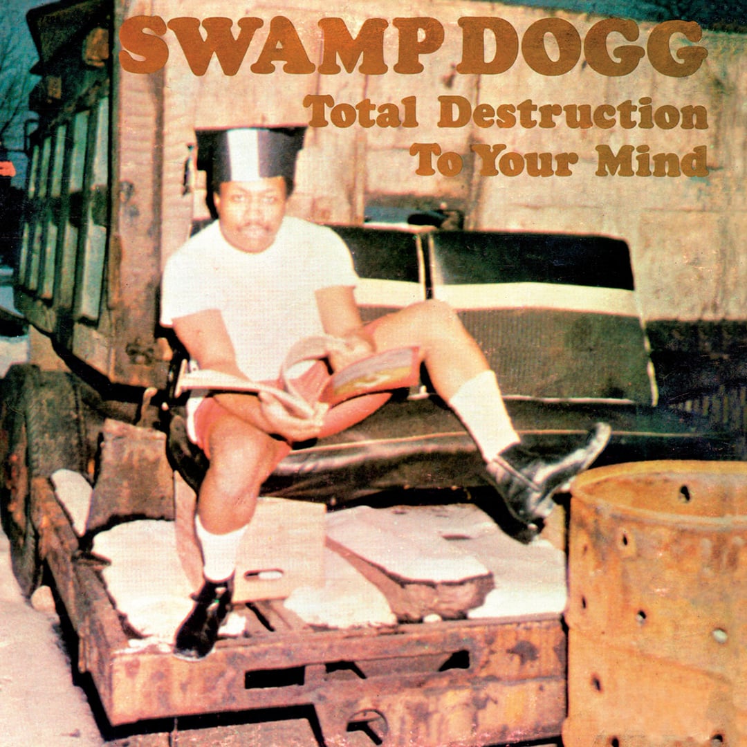Synthetic World - Swamp Dogg