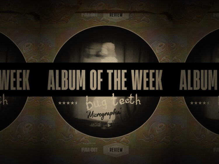 Bug Teeth - 'Micrographia' album review- a gorgeous debut that balances light and dark