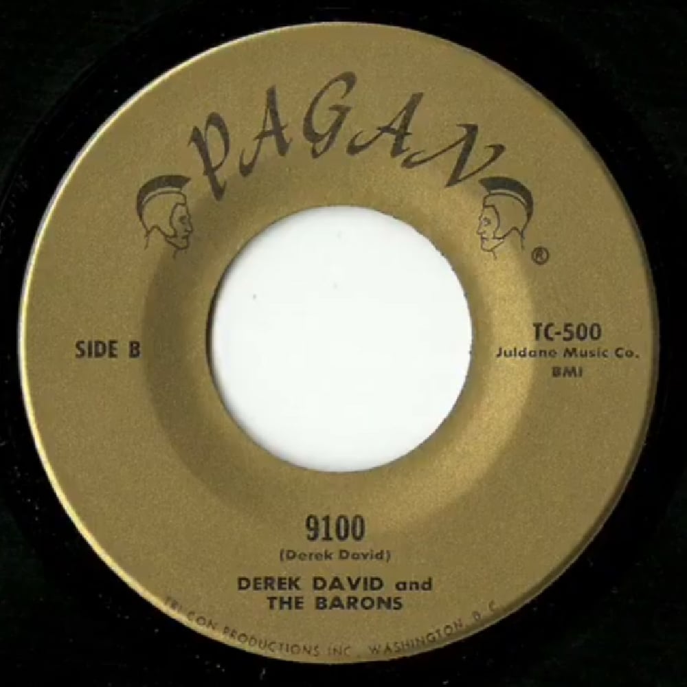 Derek David And The Barons - 9100