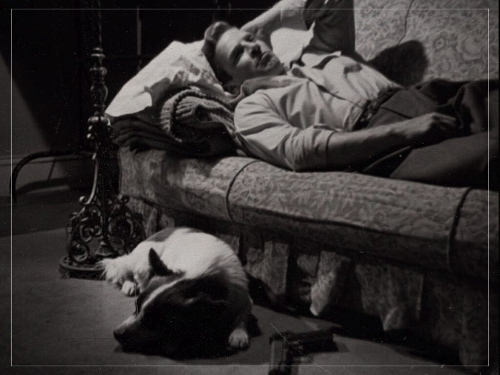 He Walked by Night - Alfred L. Werker - 1948