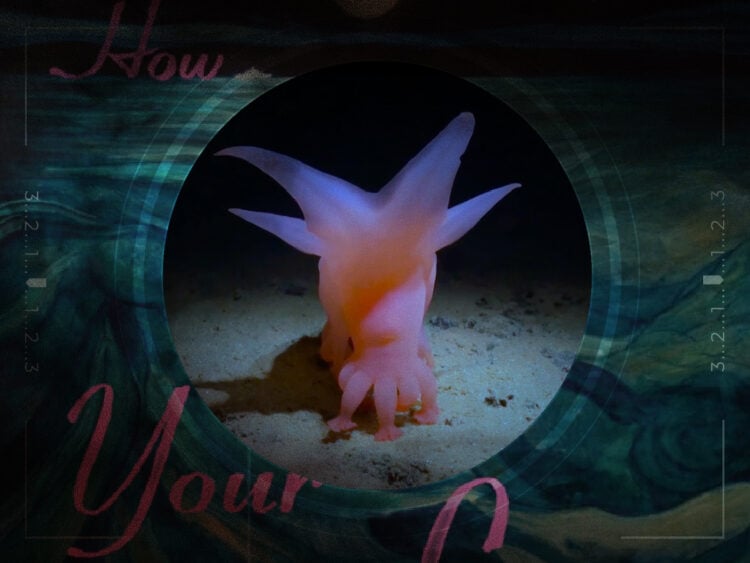 How Deep Is Your Love movie review a remarkable documentary