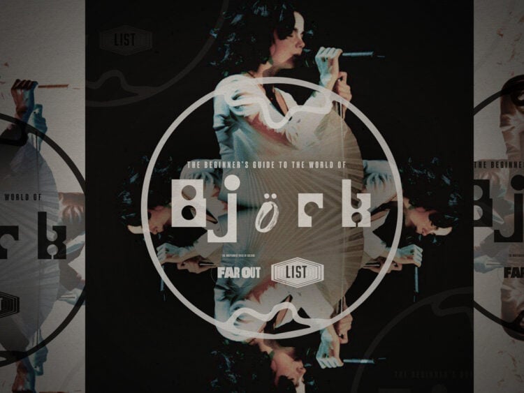 The beginner's guide to the world of Björk
